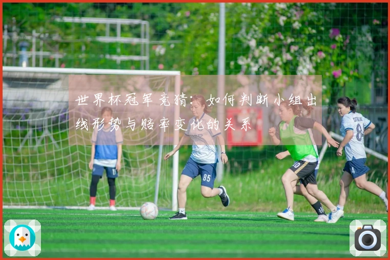 世界杯冠军竞猜：如何判断小组出线形势与赔率变化的关系