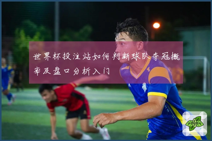 世界杯投注站如何判断球队夺冠概率及盘口分析入门