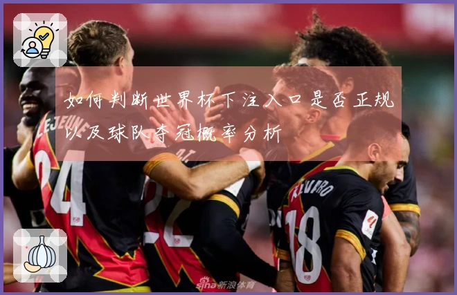 如何判断世界杯下注入口是否正规以及球队夺冠概率分析