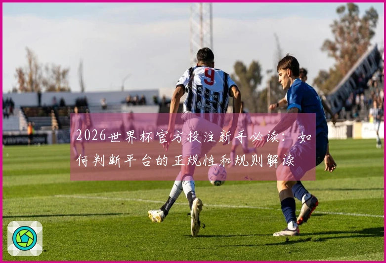 2026世界杯官方投注新手必读：如何判断平台的正规性和规则解读