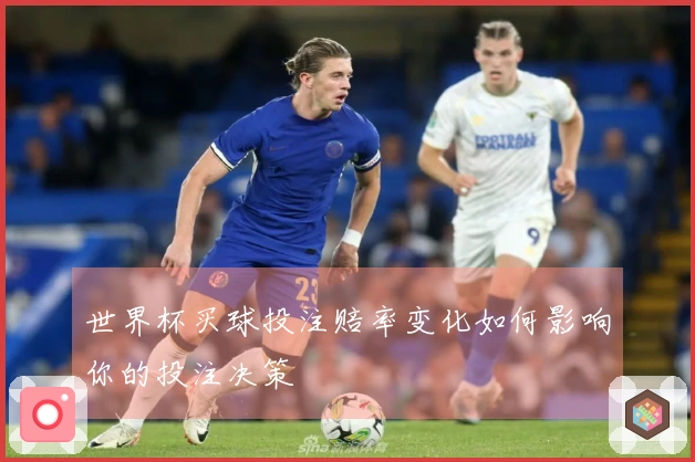 世界杯买球投注赔率变化如何影响你的投注决策