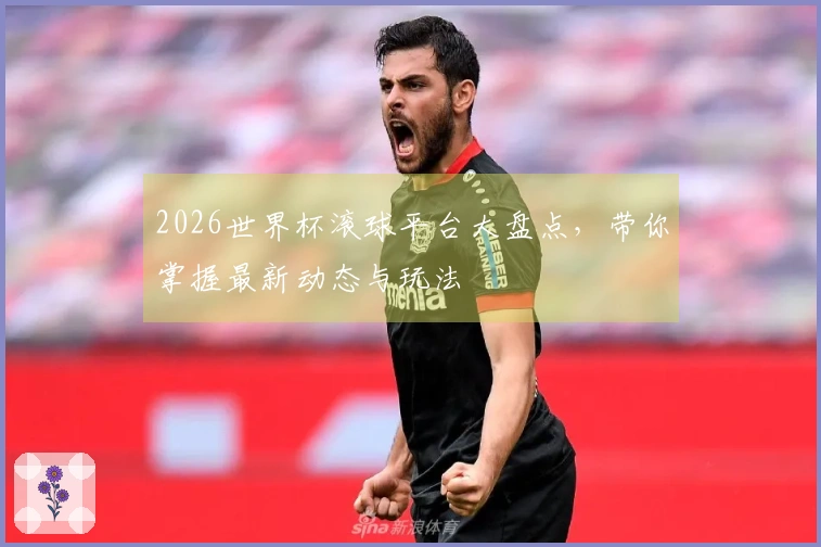 2026世界杯滚球平台大盘点，带你掌握最新动态与玩法