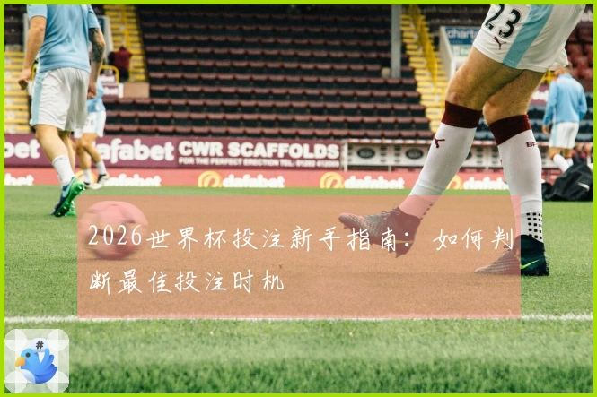 2026世界杯投注新手指南：如何判断最佳投注时机