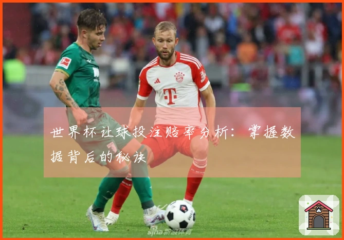 世界杯让球投注赔率分析：掌握数据背后的秘诀
