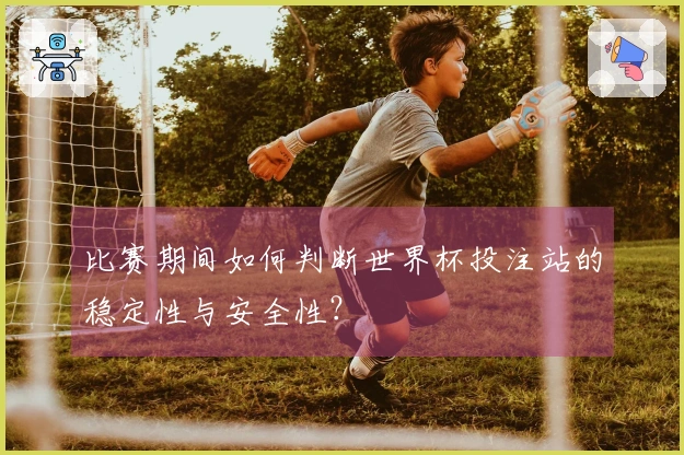 比赛期间如何判断世界杯投注站的稳定性与安全性？