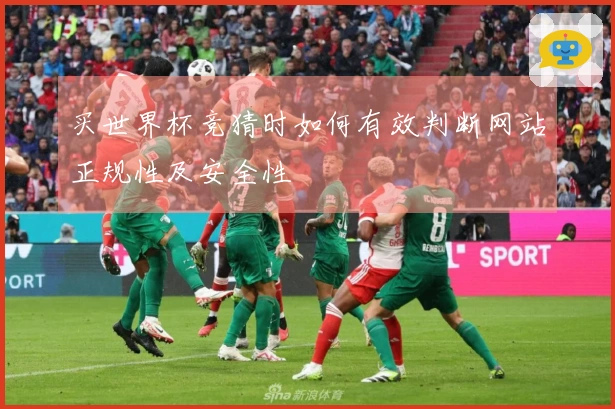 买世界杯竞猜时如何有效判断网站正规性及安全性