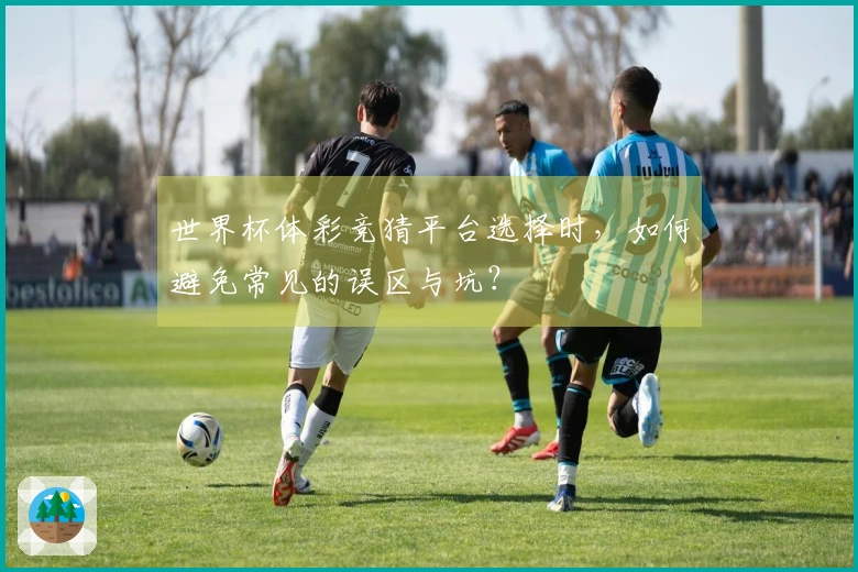世界杯体彩竞猜平台选择时，如何避免常见的误区与坑？