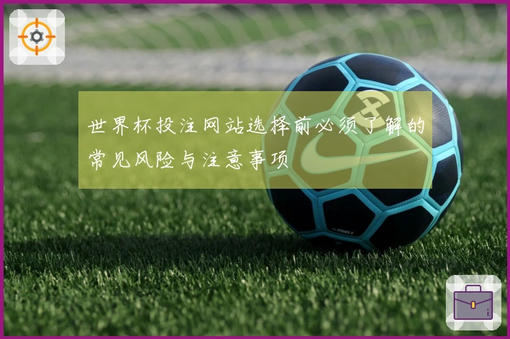 世界杯投注网站选择前必须了解的常见风险与注意事项