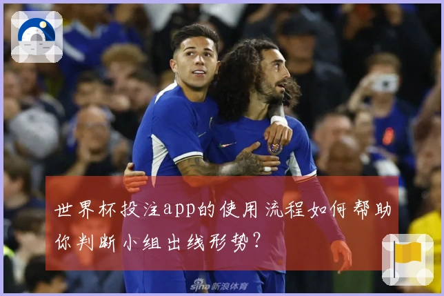 世界杯投注app的使用流程如何帮助你判断小组出线形势？