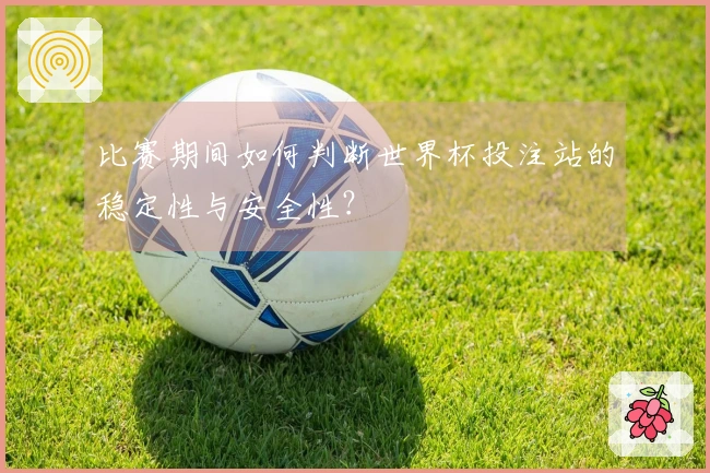 比赛期间如何判断世界杯投注站的稳定性与安全性？