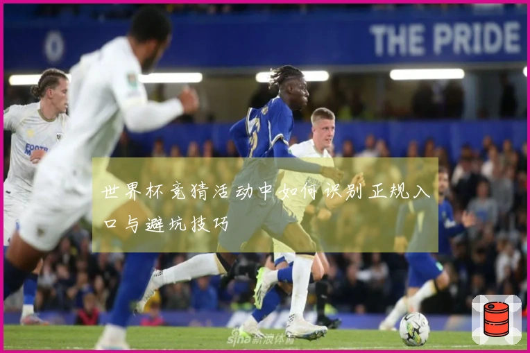 世界杯竞猜活动中如何识别正规入口与避坑技巧
