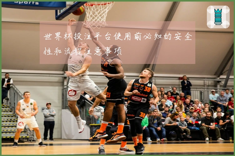 世界杯投注平台使用前必知的安全性和流程注意事项