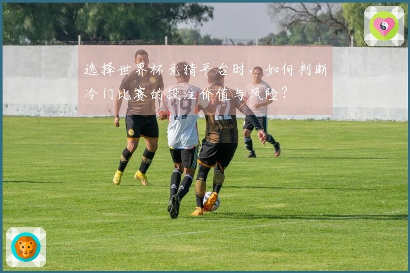 选择世界杯竞猜平台时，如何判断冷门比赛的投注价值与风险？