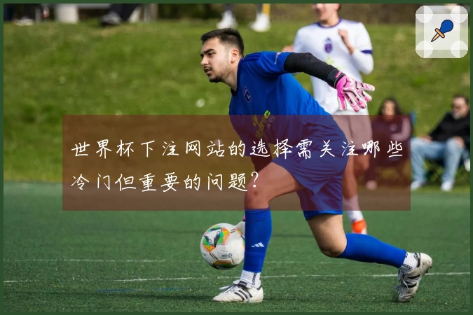 世界杯下注网站的选择需关注哪些冷门但重要的问题？
