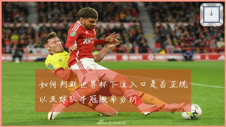 如何判断世界杯下注入口是否正规以及球队夺冠概率分析